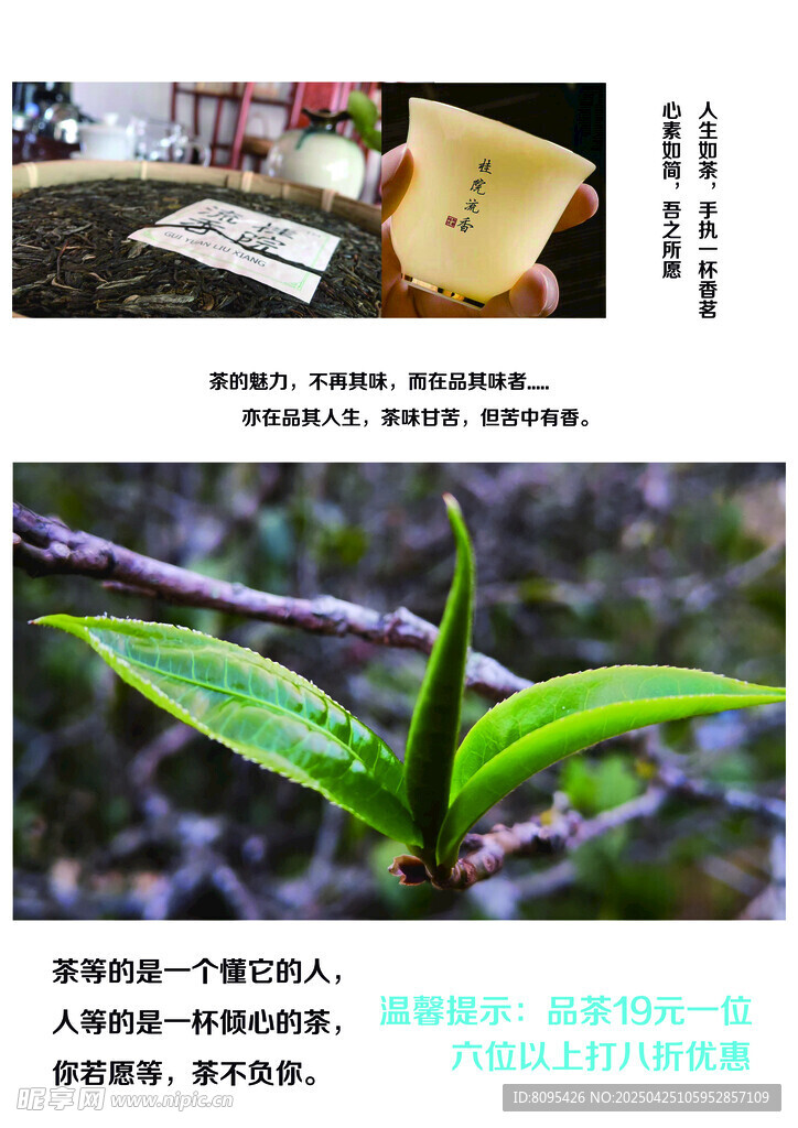 古树茶 冰岛 普洱茶 