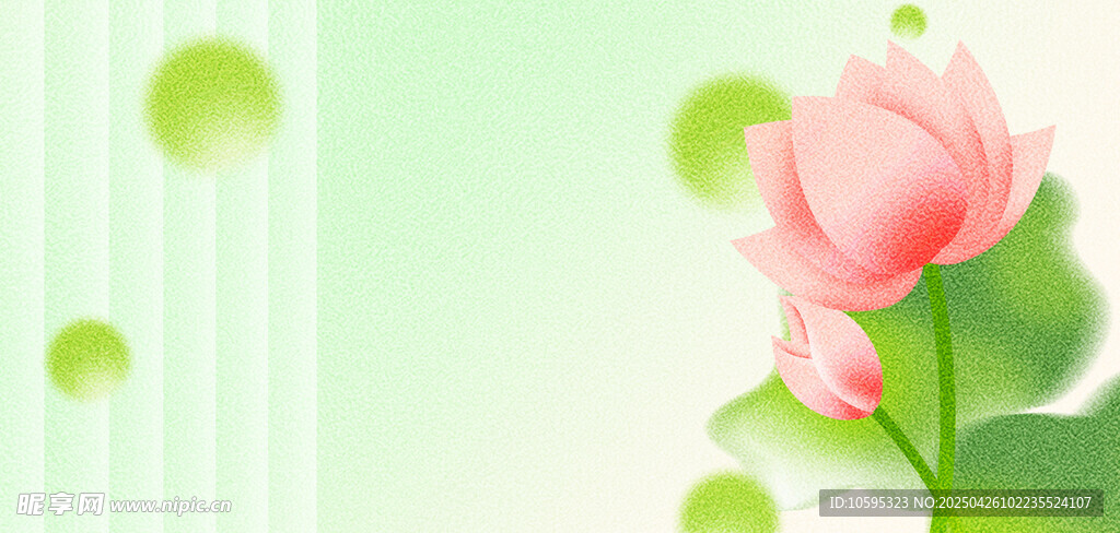 绿色夏日荷花背景