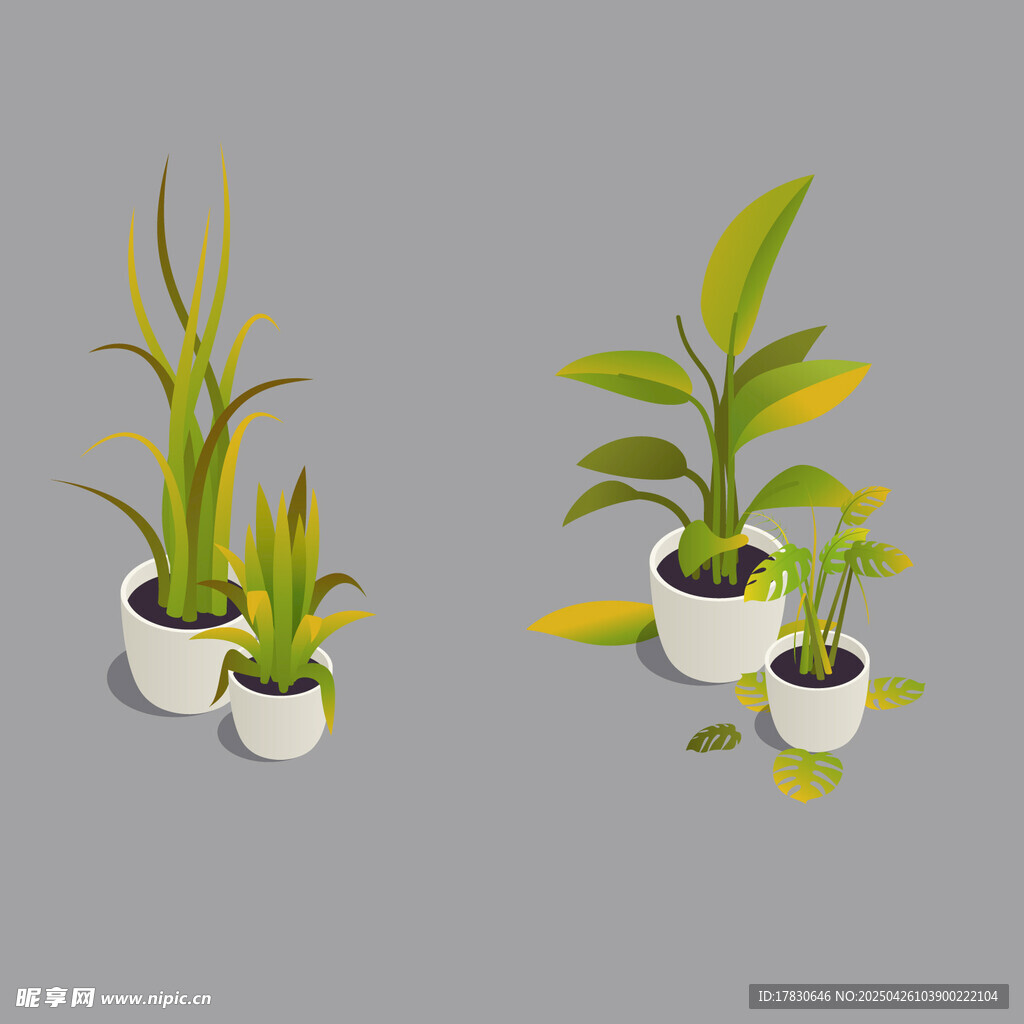 盆栽植物组合