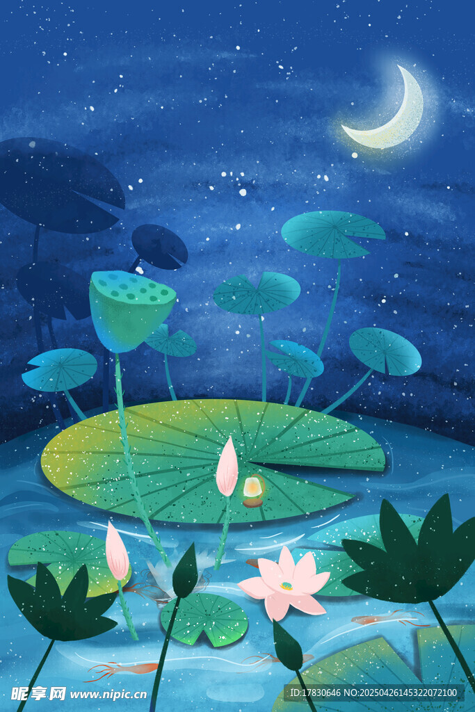 月夜荷塘美景