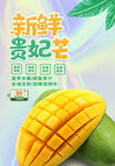 新鲜贵妃芒海报