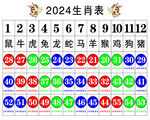 生肖表