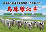 内蒙古大草原羊海报
