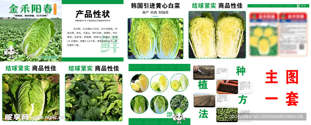 多样蔬菜种子展示图