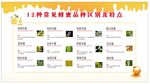 12种常见蜂蜜品种区别及特点