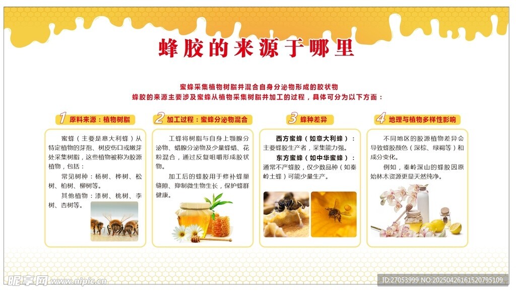 蜂胶的来源于哪里