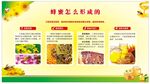 蜂蜜养生功效介绍