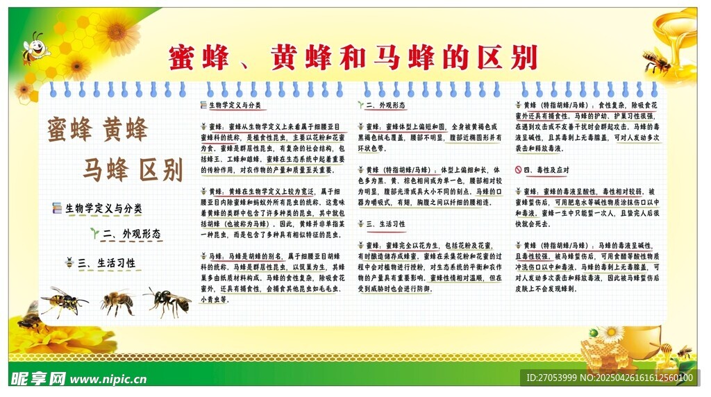 蜜蜂 黄蜂和马蜂的区别
