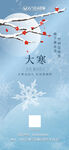大寒节气海报