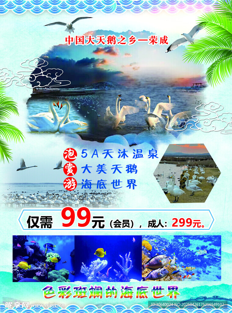 旅游单页  威海旅游  