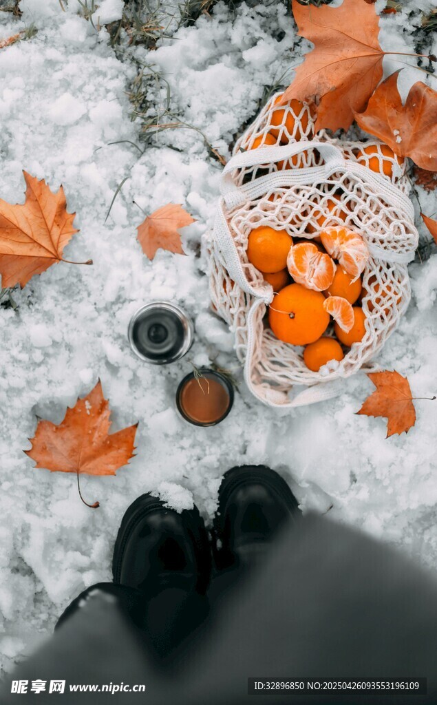 雪地中的秋日水果与落叶