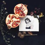 石榴静物搭配复古风插画