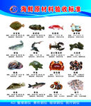 海鱼品种检验标准展示