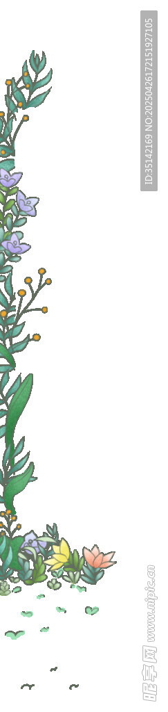紫色花卉植物插画