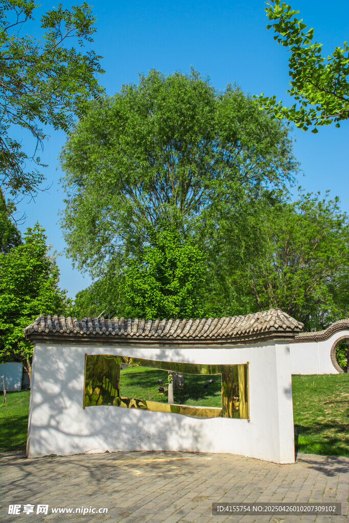 中式小屋旁的葱郁绿树