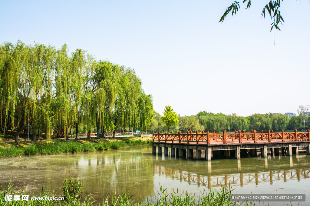 湖畔木桥垂柳风景如画