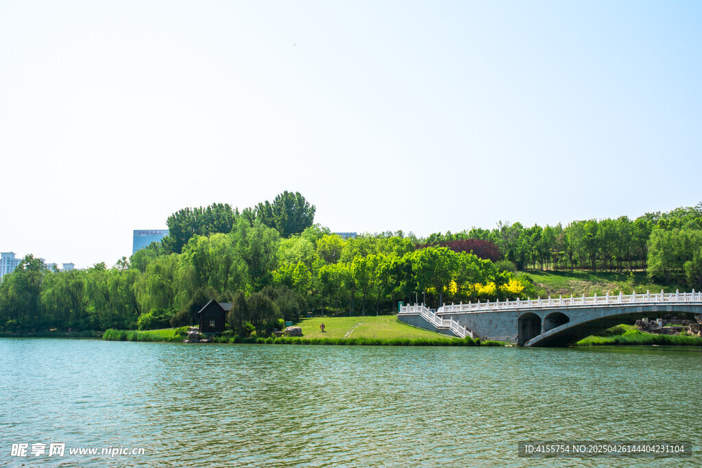 湖畔桥梁与葱郁绿树美景