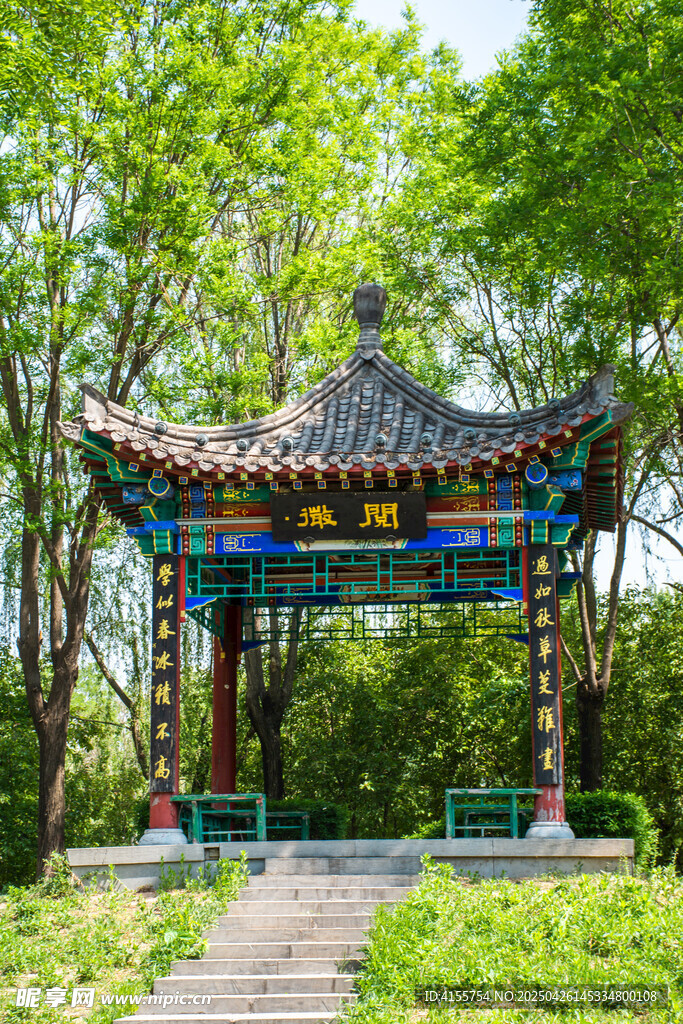 林中古亭景色宜人