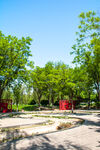 绿意盎然的户外休闲场景