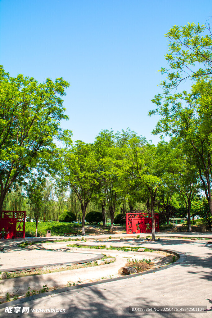绿意盎然的户外休闲场景