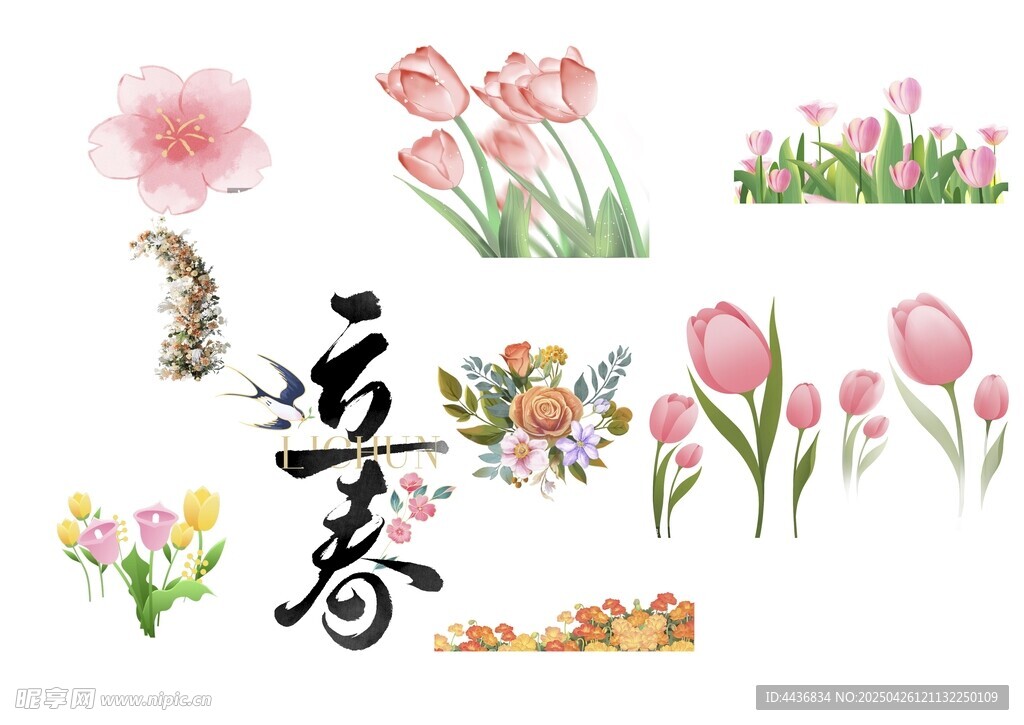 立春花卉装饰元素集合