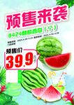 西瓜预售来袭 