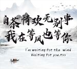 等风等你 白茶清欢无别事