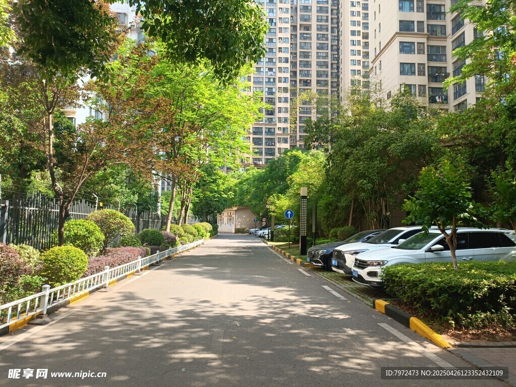 小区内绿树成荫的停车道