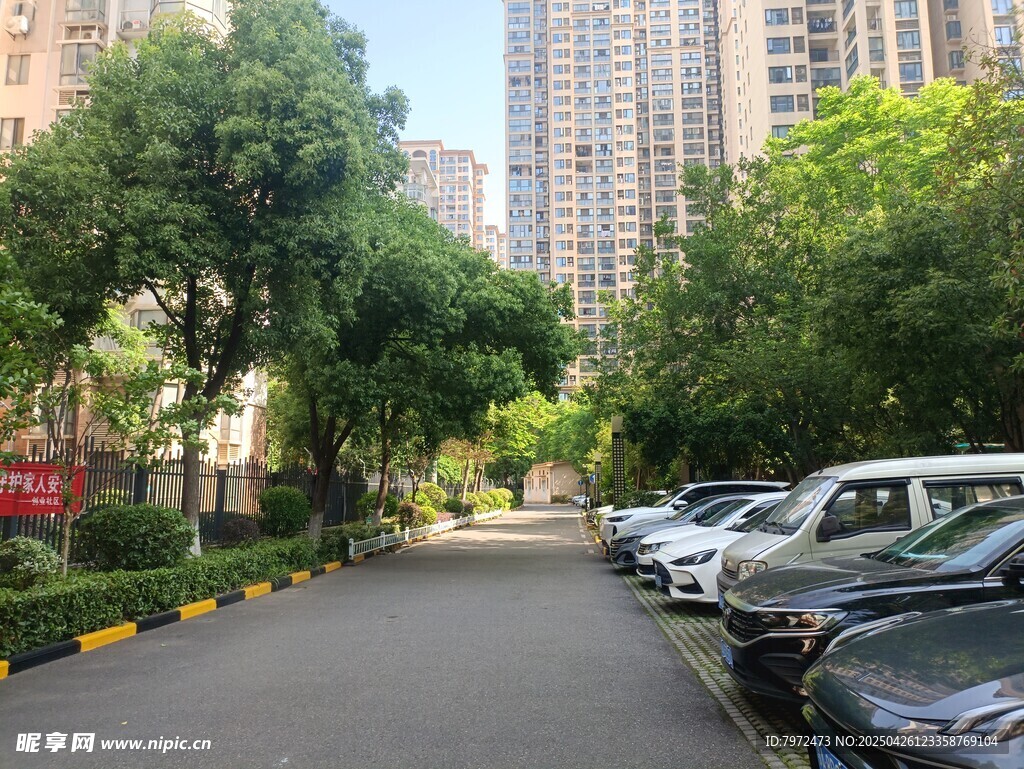 小区内的林荫停车道路