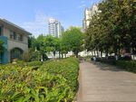 城市中静谧的林荫步道