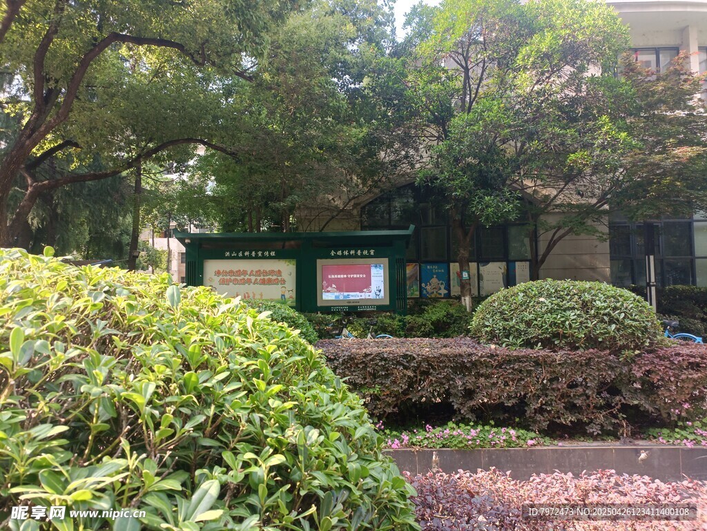 校园绿植环绕的公告牌