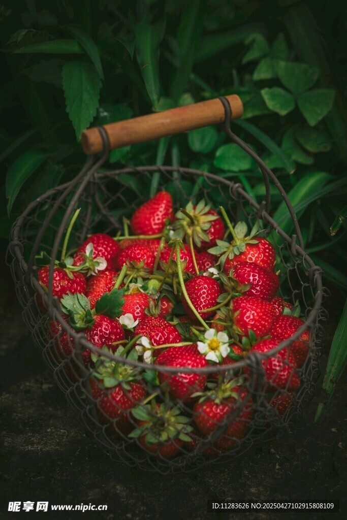 装满草莓的铁艺篮
