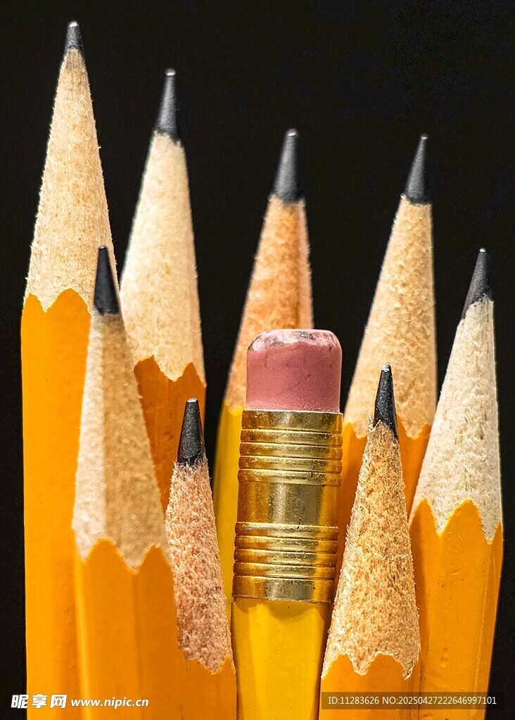 铅笔与卷笔刀的组合画面