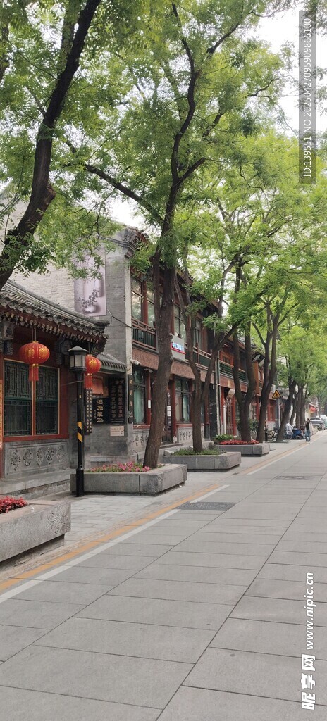 古街风貌 绿树掩映的建筑