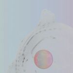 抽象立体造型