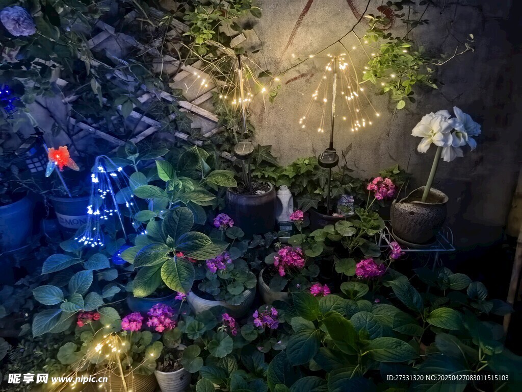 梦幻花园中的多彩花卉景观