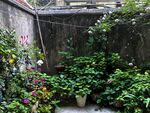 庭院一角绿植花卉景致