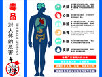 毒品对人体的危害