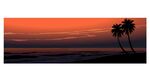 夕阳下的海边棕榈树