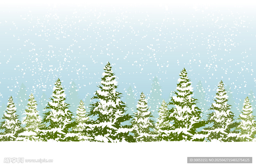 冬日雪景中的雪松景观