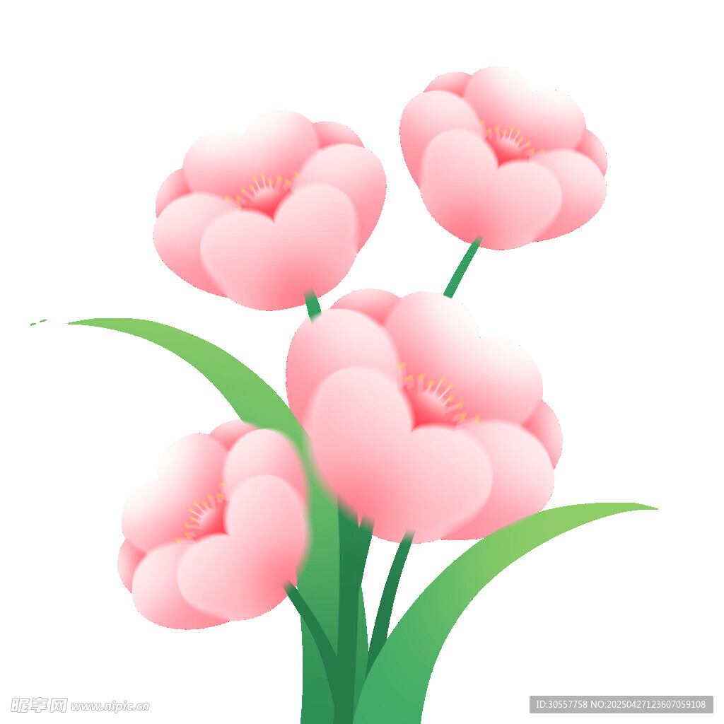 春季春天花朵植物
