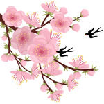 粉色桃花与双燕的春日图景