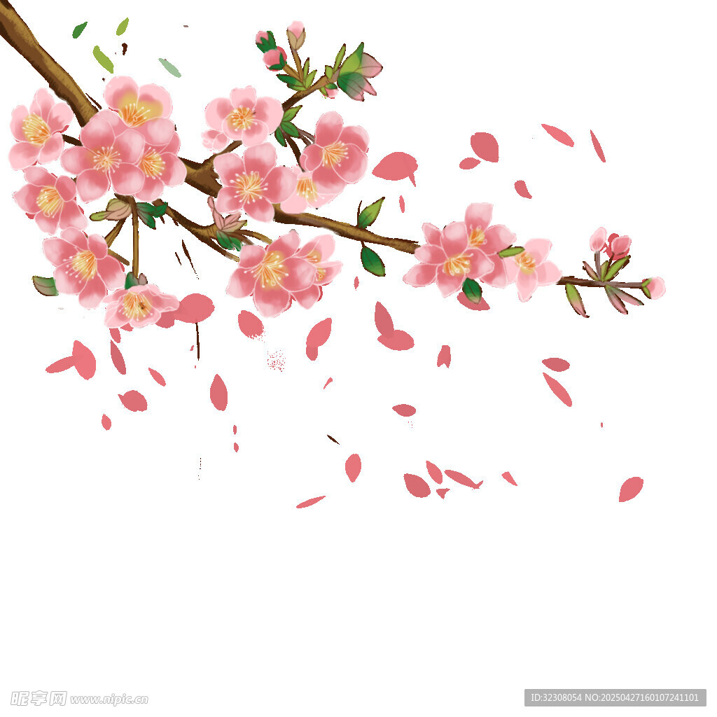 粉色桃花枝花瓣飘落