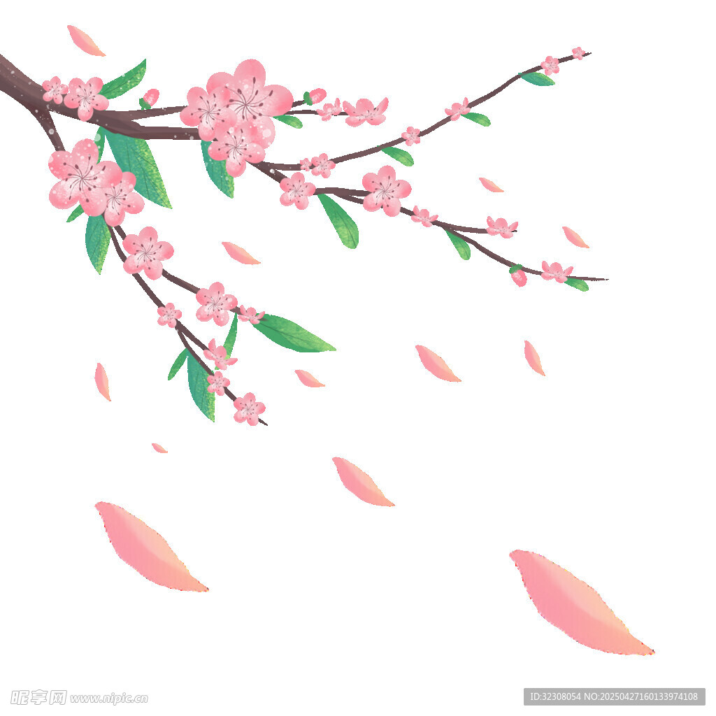 春日樱花枝 花瓣纷飞景