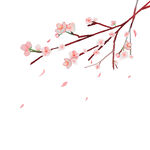 粉色桃花枝 花瓣飘落