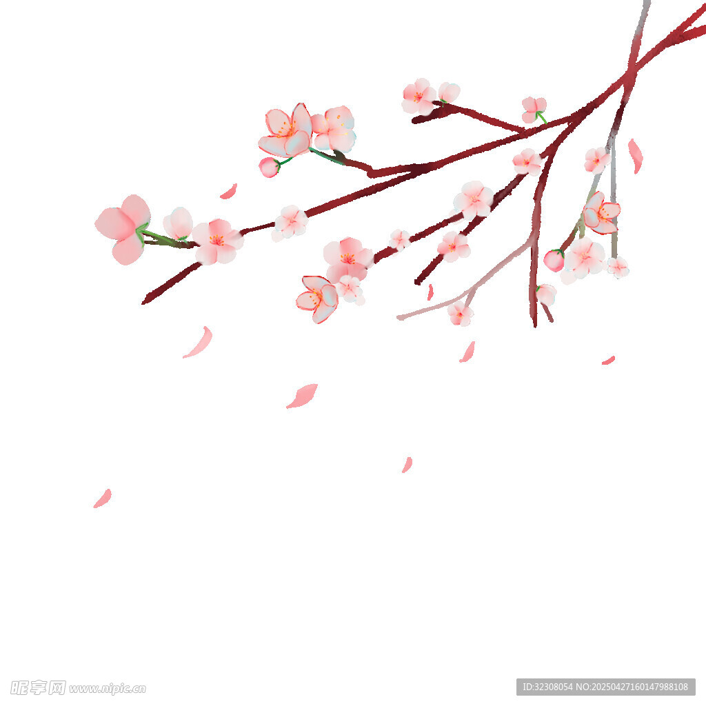 粉色桃花枝 花瓣飘落