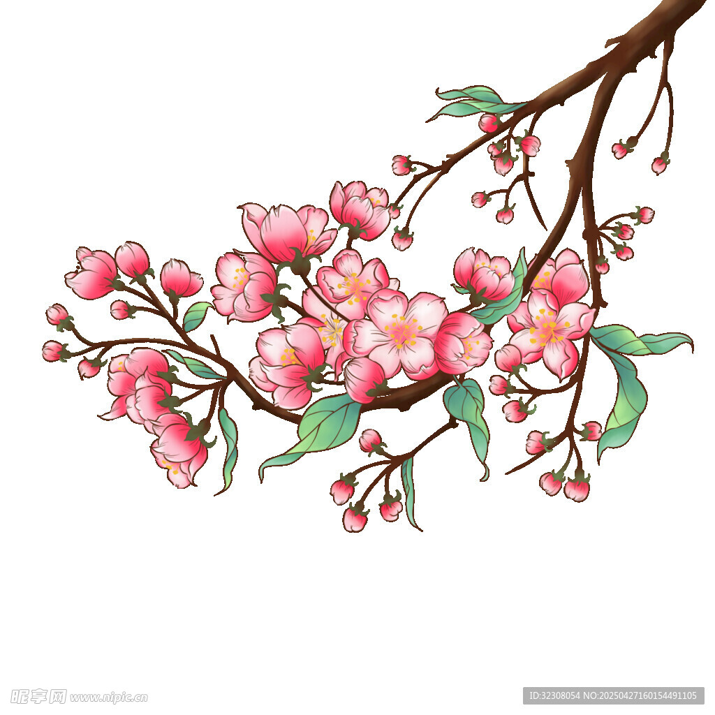 手绘粉色花枝插画