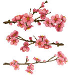 粉色桃花枝特写