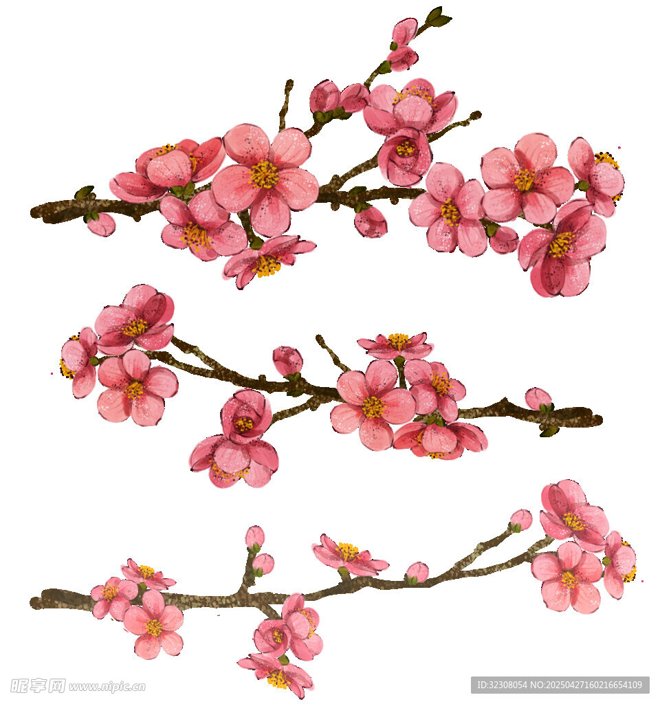 粉色桃花枝特写