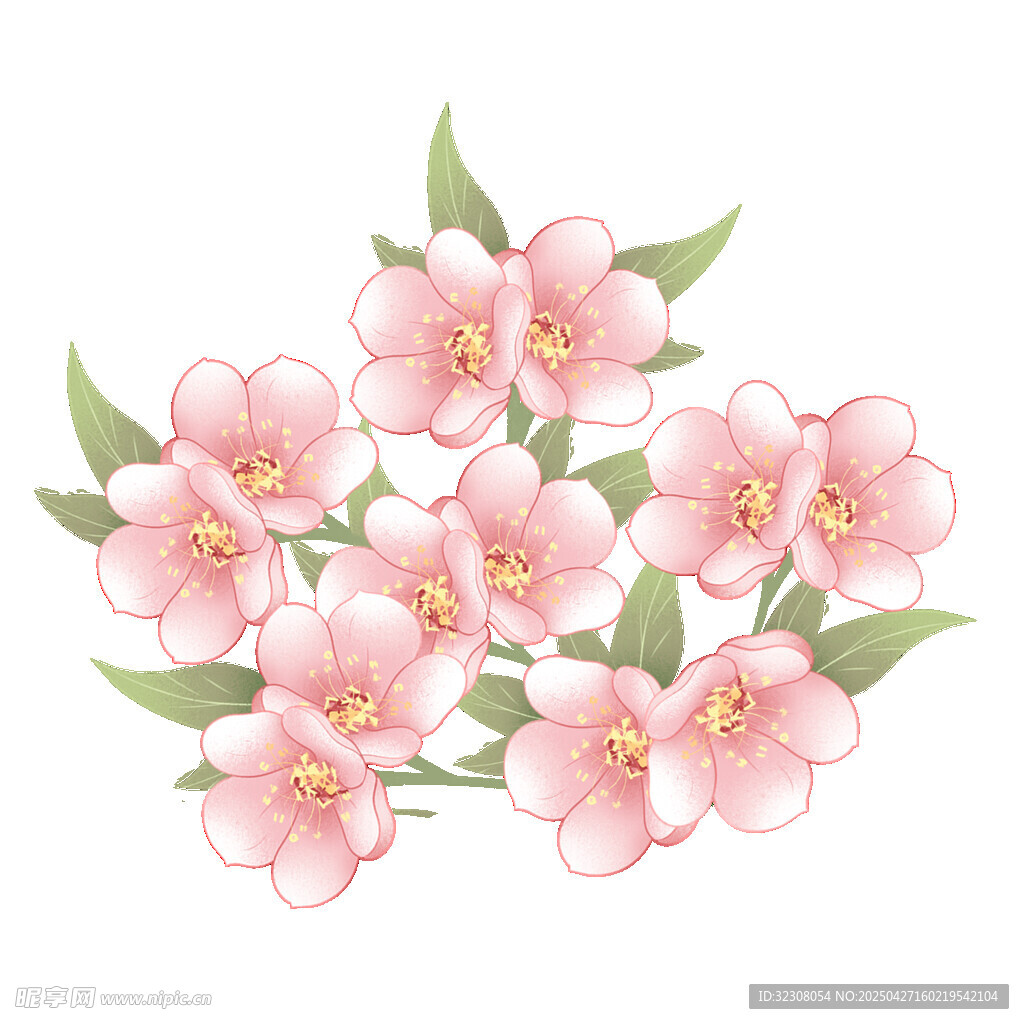 粉色花卉插画